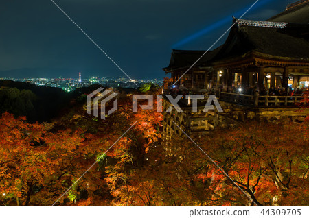 Autumn leaves of Kiyomizu Temple at night, Kyoto, Japan Autumn leaves of Kiyomizu Temple at night, Kyoto, Japan 44309705