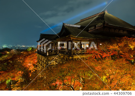 Autumn leaves of Kiyomizu Temple at night, Kyoto, Japan Autumn leaves of Kiyomizu Temple at night, Kyoto, Japan 44309706