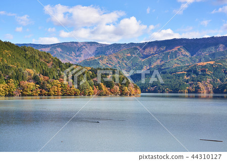 Shizuoka Prefecture Ikawa lake of autumn leaves Shizuoka Prefecture Ikawa lake of autumn leaves 44310127