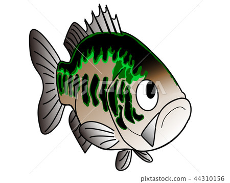 Black bus noir Jiro Black bus noir Jiro 44310156