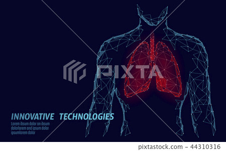 Man silhouette healthy lungs 3d medicine model low poly. Triangle connected dots glow point. Online 44310316