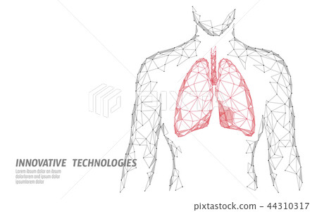 Man silhouette healthy lungs 3d medicine model low poly. Triangle connected dots glow point. Online 44310317