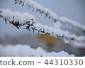 barbed wire fence on winter time backgruond white snow 44310330