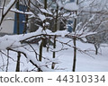 The snow on a branch in the winter. 44310334