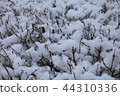 The snow on a branch in the winter. 44310336