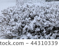 The snow on a branch in the winter. 44310339