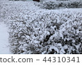 The snow on a branch in the winter. 44310341