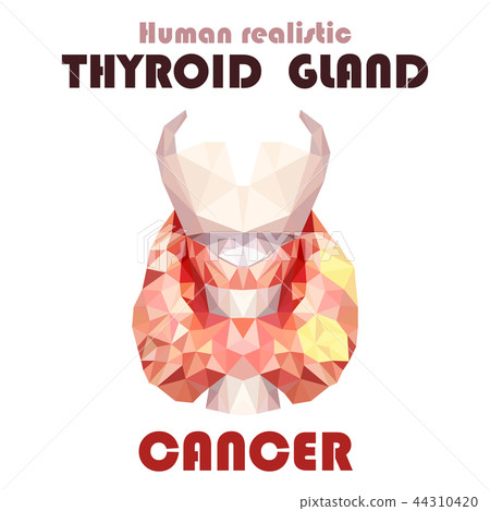 Realistic thyroid gland in low poly. Inflammation Realistic thyroid gland in low poly. Inflammation 44310420