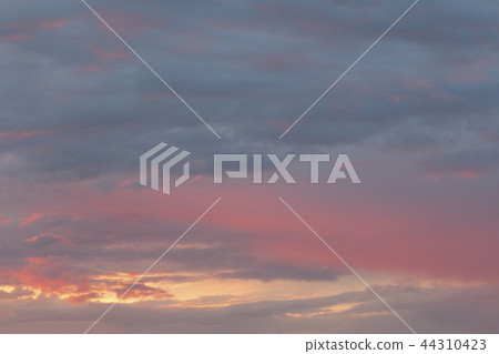 Mystical sunset sky in pink and purple tones Mystical sunset sky in pink and purple tones 44310423