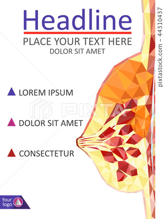 Women breast cross section in low poly. Realistic 44310437