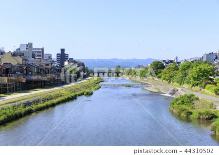 Kyoto, Yodogawa, summer bed of summer Kyoto, Yodogawa, summer bed of summer 44310502