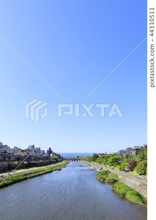 Kyoto, Yodogawa, summer bed of summer 44310511