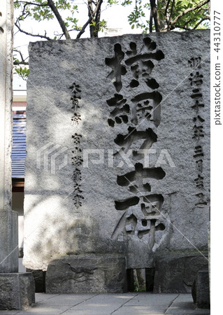 Yokotuna摔跤手Tomioka Hachimangu Shrine(東京都江東區) Yokotuna摔跤手Tomioka Hachimangu Shrine(東京都江東區) 44310777