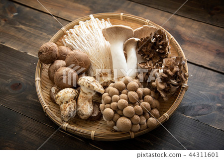 assorted japanese mushroom 44311601