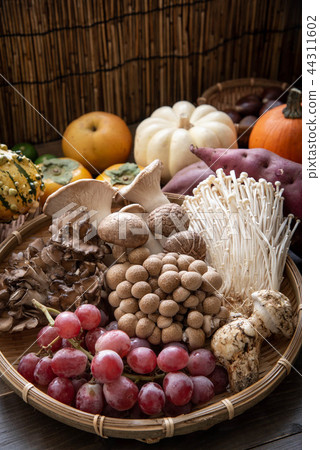 assorted japanese autumn food 44311602