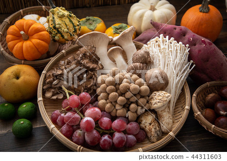 assorted japanese autumn food 44311603