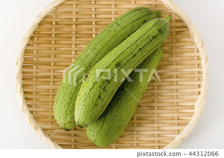 Loofah 44312066