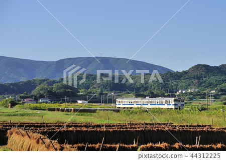 Kiha 47 running in the autumn rice fields 44312225