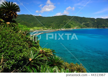 <Amami Oshima> Beautiful autumn sea view 3 of the blunted tube 44313967