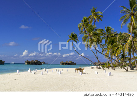 Tropical resort image 44314480