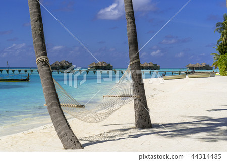 Tropical resort image Tropical resort image 44314485
