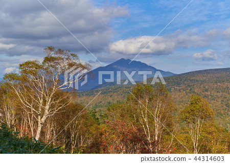在Oze的秋天，山的第一座山的東北側（在Ashigatake的方向）的視圖 44314603