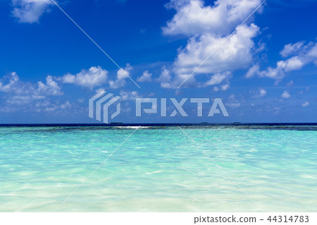 印度洋美麗的珊瑚礁海 印度洋美麗的珊瑚礁海 44314783