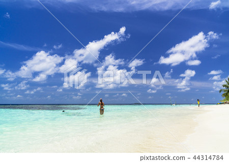 印度洋美麗的珊瑚礁海 印度洋美麗的珊瑚礁海 44314784