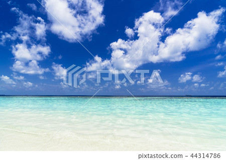 印度洋美麗的珊瑚礁海 印度洋美麗的珊瑚礁海 44314786