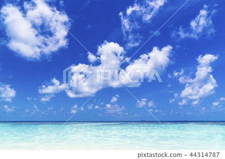 印度洋美麗的珊瑚礁海 44314787