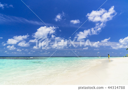 印度洋美麗的珊瑚礁海 印度洋美麗的珊瑚礁海 44314788