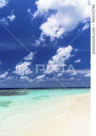 Beautiful coral reef sea in the Indian Ocean Beautiful coral reef sea in the Indian Ocean 44314798