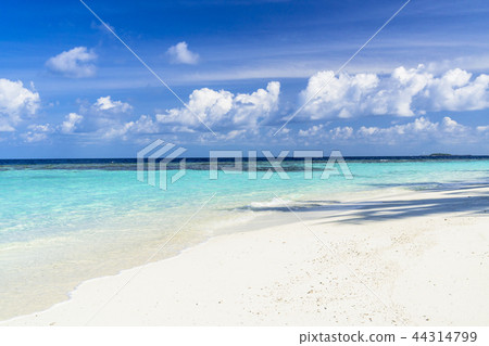 Beautiful coral reef sea in the Indian Ocean 44314799