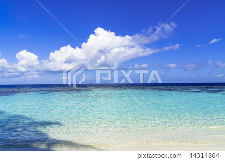 印度洋美麗的珊瑚礁海 44314804