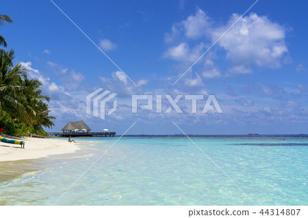 印度洋美麗的珊瑚礁海 44314807