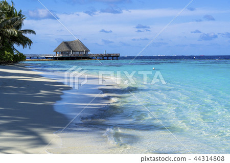 Beautiful coral reef sea in the Indian Ocean 44314808