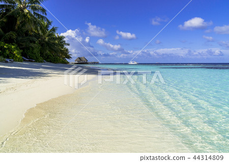 Beautiful coral reef sea in the Indian Ocean 44314809