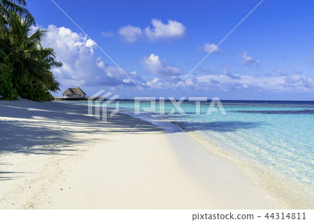 Beautiful coral reef sea in the Indian Ocean 44314811
