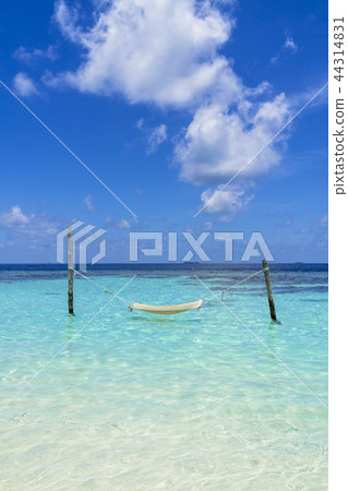 Beautiful coral reef sea in the Indian Ocean 44314831