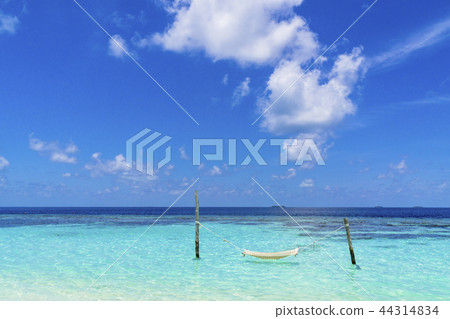 Beautiful coral reef sea in the Indian Ocean Beautiful coral reef sea in the Indian Ocean 44314834