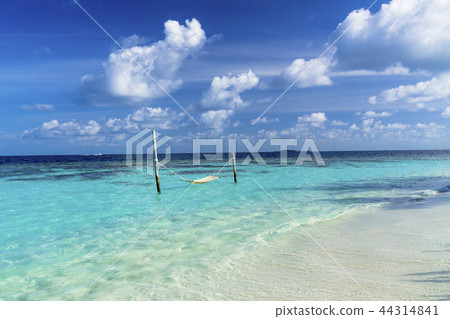 Beautiful coral reef sea in the Indian Ocean 44314841