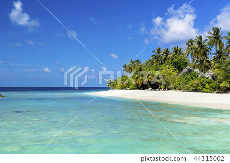 Maldives Resort Island 44315002