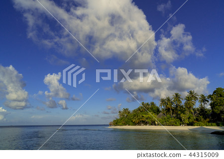 Maldives Resort Island Maldives Resort Island 44315009