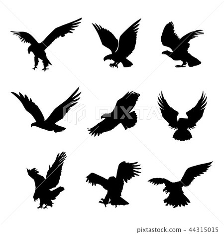 Eagle Falcon Bird Hawk Animal Black Icon Vector 44315015