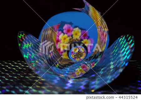 Fantagy Floret 44315524