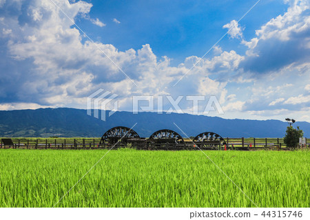 夏季三重渦輪 44315746