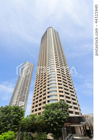 小杉站周圍的風景高層公寓的垂直位置 44315940