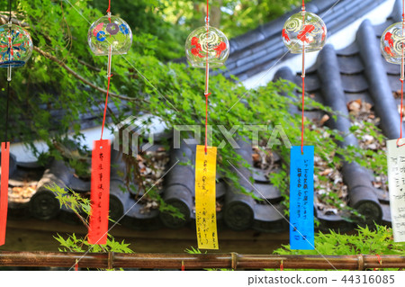 Wind bells festival at the Ruijin-ji Temple 44316085