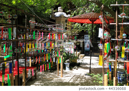 Wind bells festival at the Ruijin-ji Temple 44316088