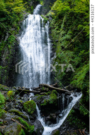 Mikaeri瀑布秋田縣 44316137